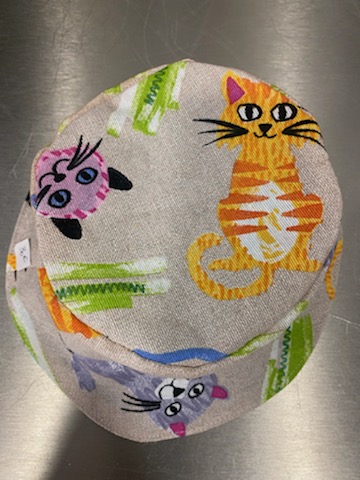 BOB fond jaune petit chat – Image 4